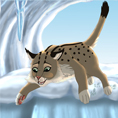 Petit_Lynx_qui_bondit_grotte_de_glace