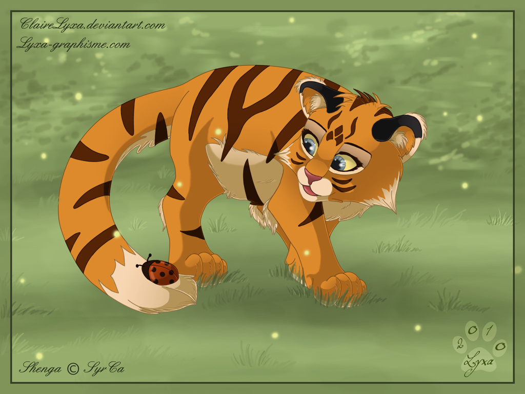 Petit tigre Shenga
