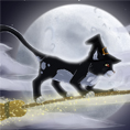 chat_balai_sorciere_halloween