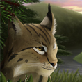 portrait_lynx_montagne