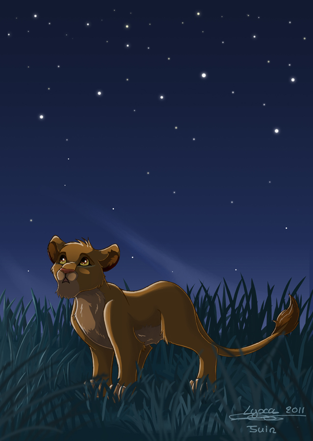 Simba sous une nuit toiles
