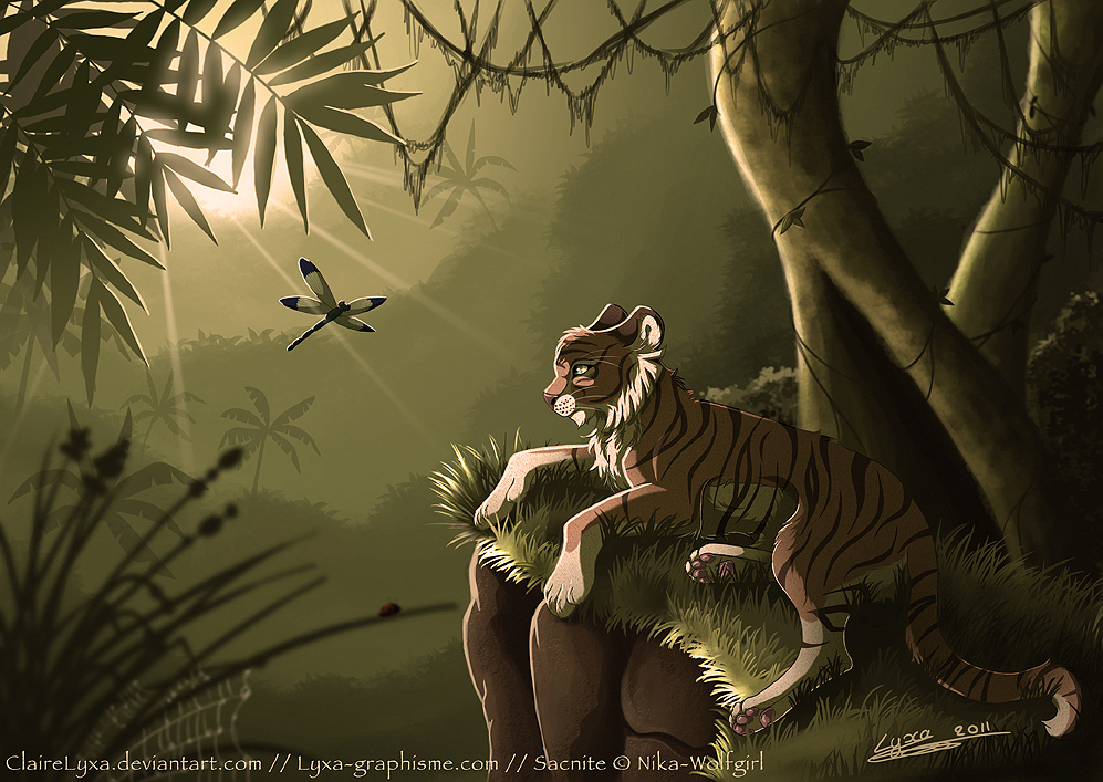 Une tigresse dans la jungle

