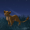 Simba_nuit_etoiles