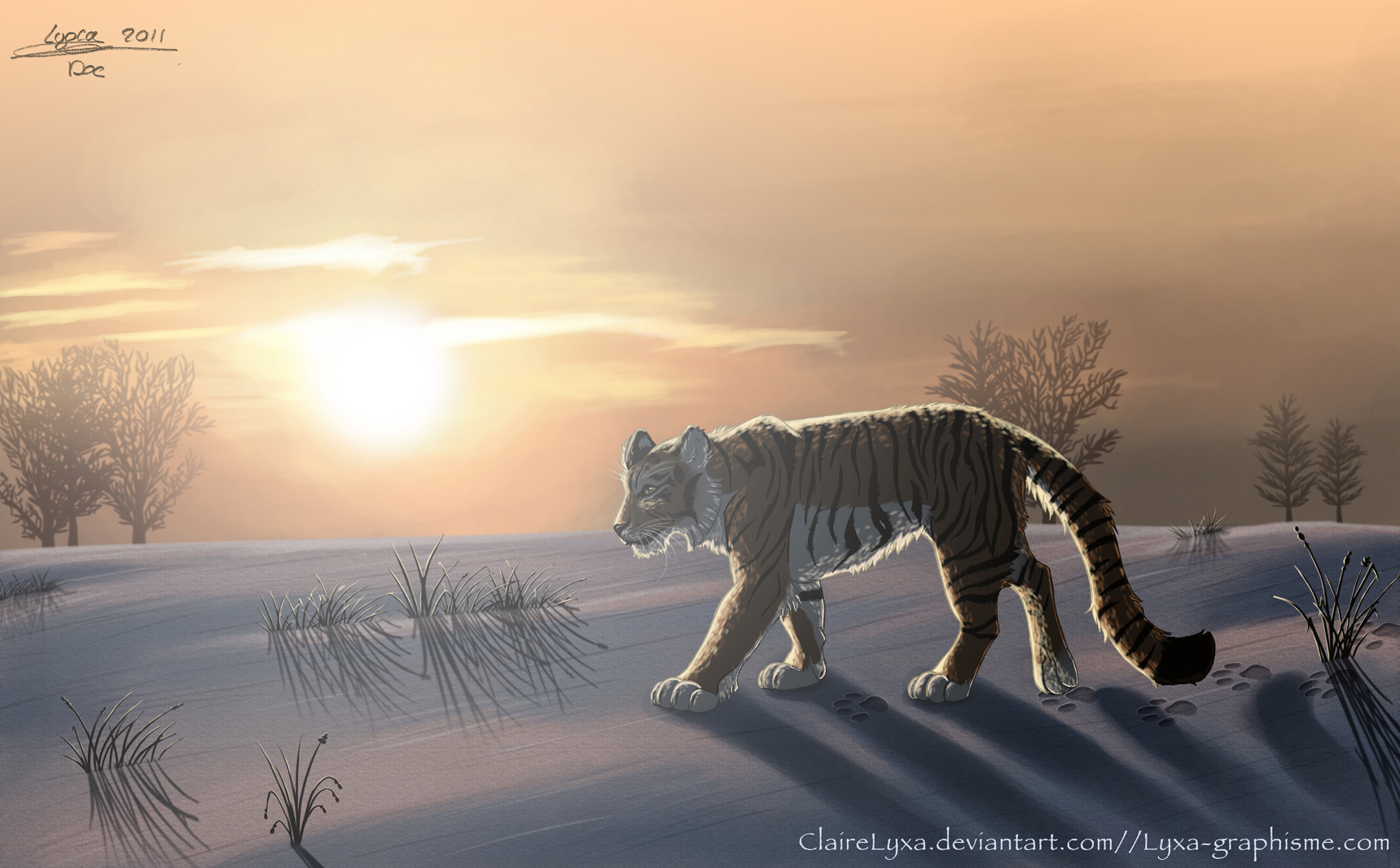 Un tigre de Sibérie
