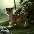 Lynx_libellule_foret