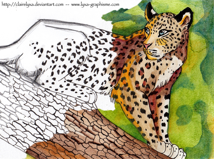 Lopard dans un arbre
